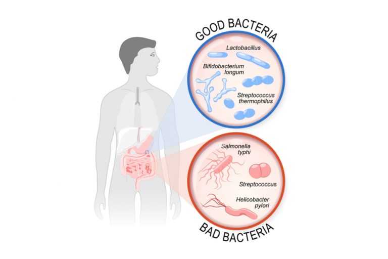Probiotica: goede bacteriën