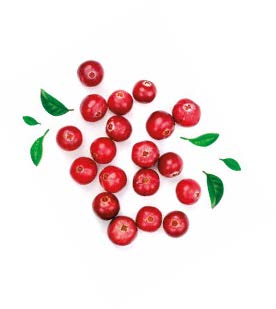Cranberry’s verlagen risico op dementie
